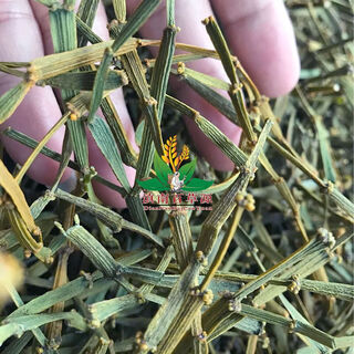 Wei ting crab legs yunnan pu'er ancient tea tree parasitic flat branches mistletoe naturally dried hand cut 1000g