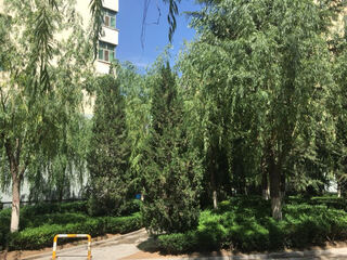 Lanzhou 1988 serviced apartment room