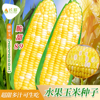 Long-cultivation super sweet two-color fruit corn seeds easy to grow sweet corn seeds extra large drought-resistant spring four seasons sweet waxy corn sticky sweet crispy sweet 89 corn 20g gold medal corn