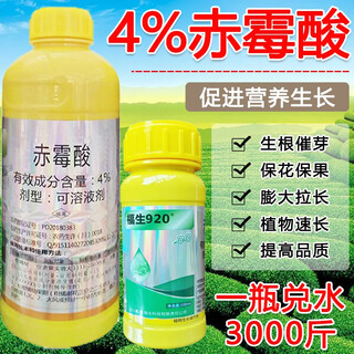 4% gibberellin 920 plant growth-promoting regulator gibberellic acid to preserve flowers and fruits, increase yield, accelerate germination and fruit setting 100g