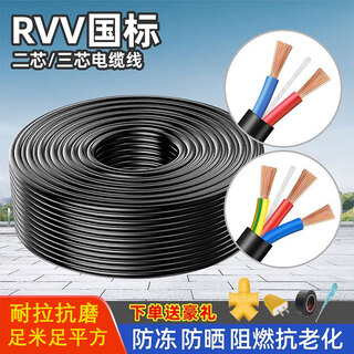 National standard rvv three-phase electric cable 2/3 core square copper-clad aluminum sheathed wire electrician home monitoring power cord antifreeze 2 core 2.5 square (free plug socket, etc.) 20 meters