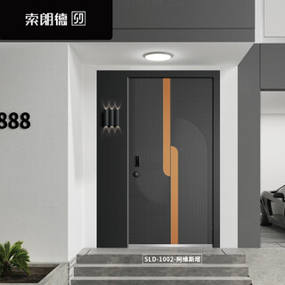 索朗德SLD-1002-阿维斯塔入户门别墅门/平方