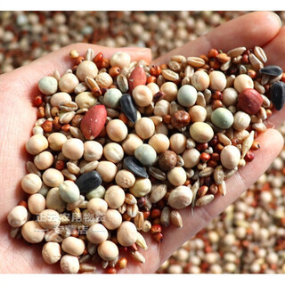 Pigeon food corn-free pigeon food wholesale pigeon food racing pigeon nutrition food pigeon food young pigeon meat pigeon old pigeon pigeon food corn-free pigeon food 5jin jin is equal to 0.5 kg