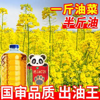 Nongdian zande 5 oil 778 rapeseed seeds produce more oil, short stems, cold resistance, lodging resistance and early maturity. farmers plant rapeseed oil seeds in fields. de 5 oil 778 rapeseed seeds 85g*2 bags