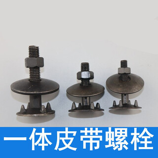 Shenzhiyou integrated belt screw bolt, bucket screw, hopper elevator screw bolt, integrated belt nail screw, m10*45 50 sets