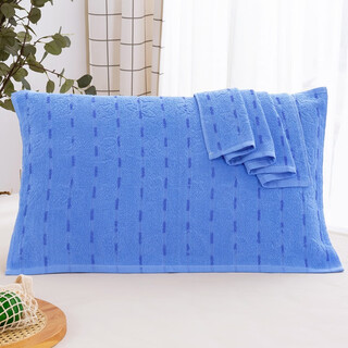 Blue terry pillowcase student dormitory single non-slip non-shedding boys' pillowcase rose blue (single pillowcase rose blue (pack of two pillowcases)