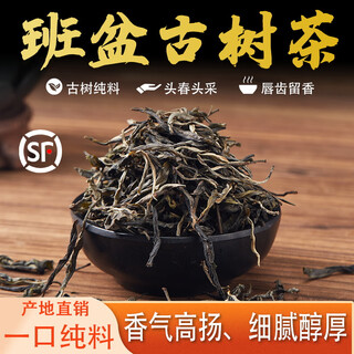 Hedan yunnan pu'er tea raw tea loose tea bulk 2024 banpen laozhai pu'er head spring picking ancient tree pure material 500g