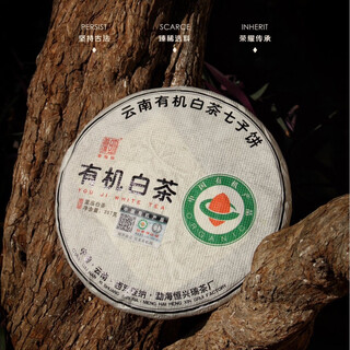 Tang yun youran wholesale yunnan white tea 2023 first spring organic white tea gongmei moonlight white fragrance overflowing and mellow, randomly delivered