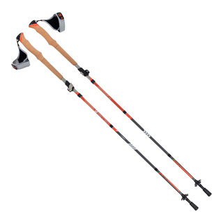 Terrain alpha vertex carbon trekking poles walking and hiking poles canyon sunset