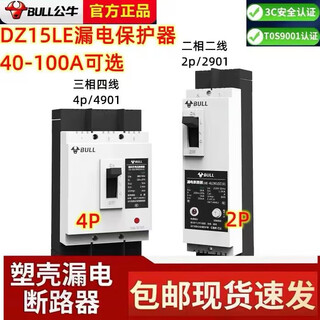 公牛（BULL）公牛BULL空气开关带漏保二相三相电空开开关断路器家用DZ15漏电保 100A 2P
