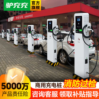 Lvchongchong new energy electric vehicle charging pile general community byd tesla 7kw32a commercial charging gun 2za7-2 7kw*2 charging pile scan qr code + swipe card double gun 2za7-2