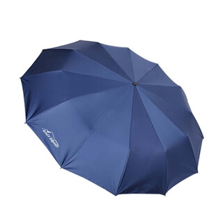 Jinduohui yiluda rain curtain business umbrella fully automatic fairy umbrella yld-sws-001