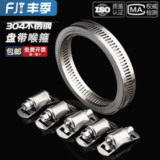 Fengji 304 stainless steel homemade american hose hoop clamp large pipe clamp perforated steel belt pipe hoop coiled strap 304 tape 10 meters with 12 hoop heads