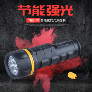 老式用电池的手电筒装2节1号干电池手电筒强光 家用应急老式怀旧节能防水防摔电筒 装2节号电池长19(无电池)