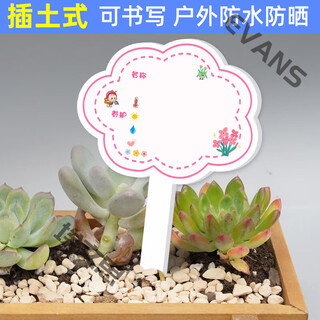 Xushansi kindergarten simulation pot brand gardening simulation flower pot simulation label signage succulent care brand diy handmade yhcd-01 10x16cm