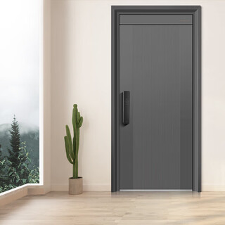 Wangli anti-theft door villa door 4-level home security door fingerprint lock mother door single door with heightened door head entry door p701