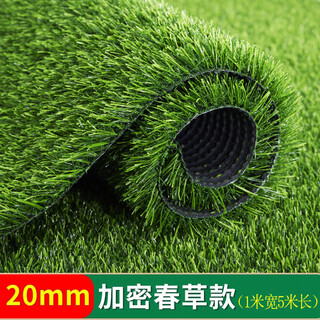 Igiftfire simulated lawn carpet artificial artificial balcony floor mat kindergarten green outdoor fake grass plastic turf decoration 2 cm spring grass style (1 meter wide and 5 meters long) 5 square meters