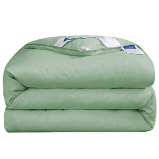 Silk quilt mulberry silk spring and autumn air-conditioned quilt thickened winter quilt single double quilt core quilt solid color embossed-green 200*230cm6jin jin equals 0.5 kg