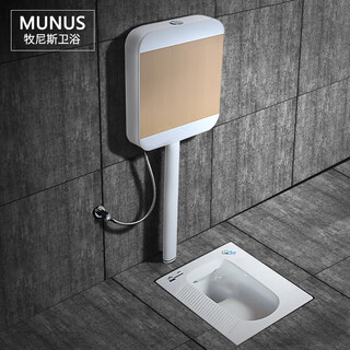 Comfortable eagle brand household flush tank complete set, ceramic squat toilet, anti-clogging, silent and odor-proof complete set of squat toilet, luxury local gold set a with trap front drainage