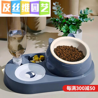 Congteng cat bowl double bowl stainless steel dog bowl pet cat food basin automatic drinker water bowl feeder ceramic supplies three-in-one bowl ceramic model-mo lan