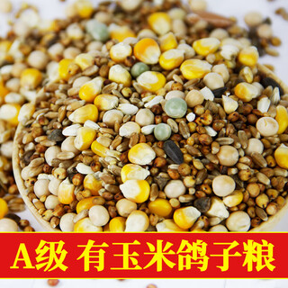 Pigeon food 20 jin jin is equal to 0.5 kg. corn-free pigeon food 10 kg nutritious pea bird food homing pigeons for adult and young pigeons 5 jin jin is equal to 0.5 kg. a-grade corn-containing premium pigeon food 10 jin jin is equal to 0.5 kg.