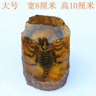Scorpion artificial amber with insects natural raw stone animal specimens insect beeswax scorpion ornaments picture color