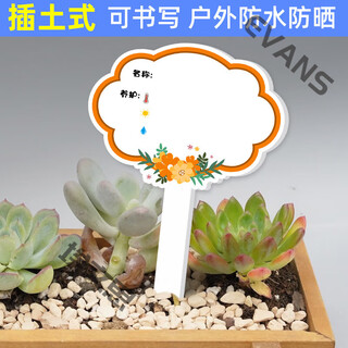 Xushansi kindergarten simulation pot brand gardening simulation flower pot simulation label signage succulent care brand diy handmade yhcd-31 10x16cm