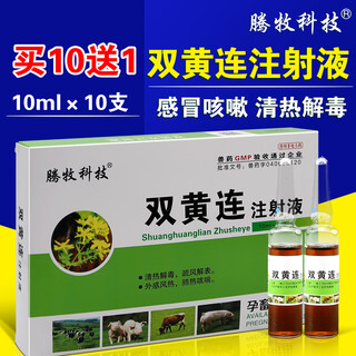 Tengmu technology shuanghuanglian injection shuanghuanglian veterinary medicine veterinary medicine for cats, dogs, pigs, cattle and sheep pets anti-fever cold respiratory injection 1 box price