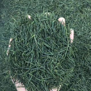 Ganxiangpo 2024 new tea yuqian tea maojian tea dawu dabie mountain tea xiaogan huanggang macheng hong'an yunwu straight strip maojian 1000g yuqian bud maojian teahouse pack