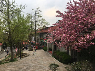 Lushan yunjin inn room
