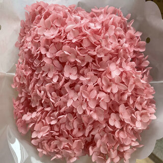 Dried immortal anna hydrangea dried flowers bleached single hydrangea real flower wedding decoration immortal flower hydrangea bouquet gift cherry blossom pink flower head diameter more than 20 cm