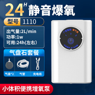 Donglu island guangjiang fish tank usb oxygen pump outdoor fishing charging oxygen pump fish bucket oxygen machine fish breeding small gas disk large volume + long battery life + ultra silent + ultra portable + silver