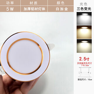 筒灯led嵌入式天花灯射灯客厅吊顶灯装饰小灯洞灯孔灯三色开孔 【高贵】白加金5w三色变光