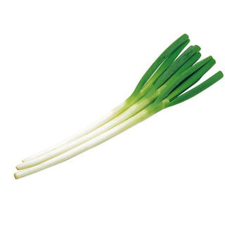 Landmark goods zhangqiu green onions 500g