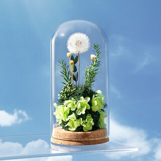 Rose box dandelion eternal flower ornaments valentine's day birthday gift female wedding anniversary gift for female friends high-end