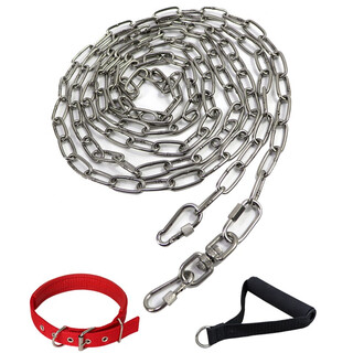 Kangbeni dog leash 304 stainless steel dog chain, horse dog, german shepherd, anti-bite dog leash, small, medium and large dog leash, dog pet supplies, 3mm thick, 3.1 meters long (20-50jin jin is equal to 0.5kg for medium and small dogs)