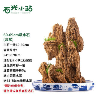 Shiguang station absorbent stone natural stone bonsai fish tank courtyard large fish pond landscaping absorbent stone original stone water stone bonsai 60-69cm absorbent stone blue and white porcelain basin
