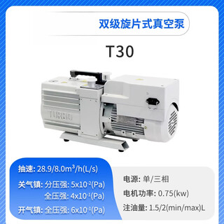 Axis bipolar direct-coupled rotary vane vacuum pump air conditioner refrigerator laboratory small industrial air pump t30 integrated/aerospace aluminum shell