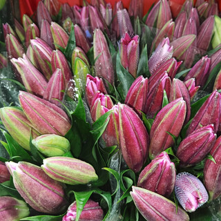 Yunnan kunming base direct hair festival water-raised flowers bouquet perfume lily life flowers and flowers 10 red lilies (collection of preservatives)