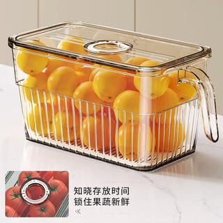 Home katei story japanese egg box with lid refrigerator storage box fruit box sealed crisper food grade egg storage box large transparent 5l (one)