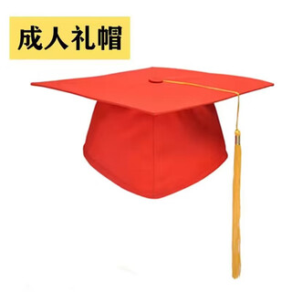 Junjunjia customized graduation ceremony hat, 18-year-old graduation ceremony bachelor's hat, doctor's hat, tutor and principal's year-end gift, customized logo, adult hat (cardboard), adjustable