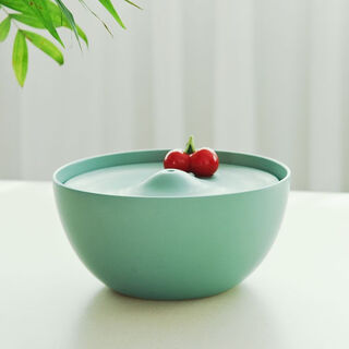 Raf core latest ceramic pet cat and dog water fountain automatic constant temperature intelligent cycle water feeding cartoon cat bowl charging cherry