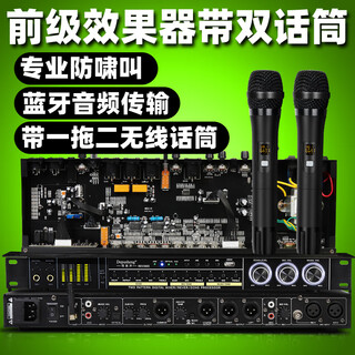 Depusheng depusheng rev3800 pre-amp effector anti-howling ktv stage home karaoke double reverberation microphone simulated balanced karaoke wireless microphone rev3800 effector (with dual handheld)