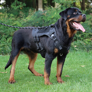 Super durable large dog harness dog leash vest type golden retriever german shepherd doberman rottweiler leash police dog tactical vest black - enhanced protection model l size (chest 72-100cm)