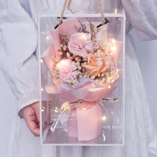 Preserved flowers, carnations, roses and gypsophila, dried bouquet gift box for girls, mothers, elders, birthday and holiday gifts, type a