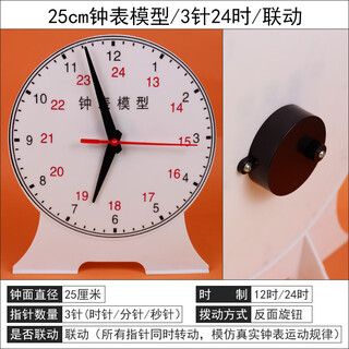 Small clock model first and second grade mathematics primary school teaching aids two-hand three-needle linkage children's learning dial clock teaching clock face primary school students learning tools to know time teaching equipment supplies 25cm clock/3-hand 24 hours/linkage