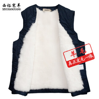 Xiyu hanyang pure wool vest for men in autumn and winter, middle-aged and elderly vest with fur all-in-one cotton coat, warm and thickened sheepskin vest, navy blue, no lining, non-detachable 2xl