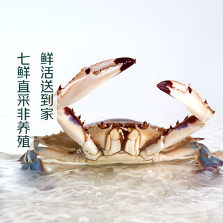 Fresh red swimming crab 150-200g/piece