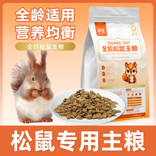 Wami squirrel special full price staple food small pet food snacks for all ages vitamin nutritious food feed fresh and frugal food full price squirrel food 1 bag 500g