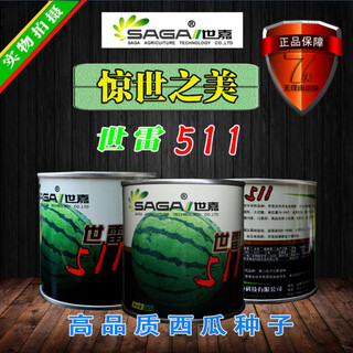 Chunzhiyunshilei 511 watermelon seeds in spring, super sweet, few seeds, thin skin, crack-resistant, special original watermelon seeds for four-season sowing base, original 50g (planted 1 acre)